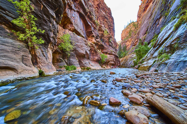 Опыт природной красоты The Narrows в Национальном парке Зайон, Юта. Возвышающиеся стены каньона, извивающаяся река и яркая зелень создают захватывающее приключение в сердце природы.