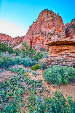 Utah, Zion Ulusal Parkı 'ndaki Pine Creek Kanyonu' nun nefes kesici manzarası. Yükselen kırmızı kumtaşı kayalıkları ve dayanıklı çöl bitkileri altın saat ışığının tadını çıkarıyor, doğanın ebedi güzelliğini sergiliyor..