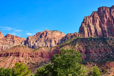 Zion Ulusal Parkı 'ndaki Kolob Kanyonu' nun nefes kesici güzelliğini tecrübe edin. Parlak kırmızı kaya oluşumlarına ve yemyeşil yeşilliğe hayret açık mavi gökyüzüne karşı sergilenmiş, macera ve sükuneti davet eden.
