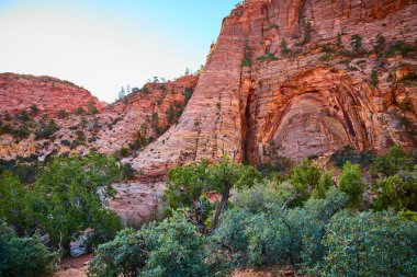 Zion Ulusal Parkı 'ndaki Pine Creek Kanyonu' nun nefes kesici güzelliğinin tadını çıkarın. Yükselen kırmızı kaya oluşumlarına ve yemyeşil yeşilliğe hayran kaldım. Bu çarpıcı çölde doğanın ahengini keşfedin.