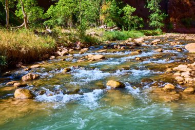 Utah, Zion Ulusal Parkı 'ndaki sakin nehir manzarası. Yumuşak kayaların üzerinde yumuşak çağlayan şelaleler yemyeşil suları sükunete davet eder. Doğa, rahatlama veya eko-turizm temaları için mükemmel.