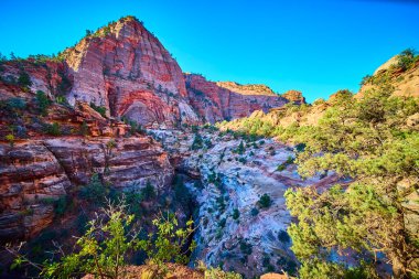 Zion Ulusal Parkı 'ndaki Pine Creek Kanyonu' nun çarpıcı güzelliğini keşfedin. Yükselen kızıl kaya kayalıkları ve altın saat ışığı doğa aşıkları ve maceracılar için mükemmel bir manzara yaratır..