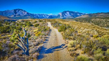 Nevadas 'ın uçsuz bucaksız arazisinden geçen engebeli bir çöl manzarası. Uzakta Charleston Dağı' nın görkemli manzarası. Altın saatlerin tadını çıkar ve keşfet dingin güzelliği