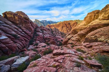 Ateşli renkleri ve engebeli formasyonlarıyla büyüleyici Red Rock Kanyonu 'nu keşfedin. Bu büyüleyici Nevada manzarası canlı mavi gökyüzü altında maceraya davetiye çıkarıyor. Seyahat, jeoloji ve doğa için mükemmel.