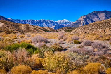 Nevadas çölünün huzurlu güzelliğini tecrübe edin. Uzaktaki Charleston Dağı 'yla birlikte. Mavi gökyüzü ve engebeli tepeler bu sakin vahşi ortamda macera ve keşfe davet ediyor..