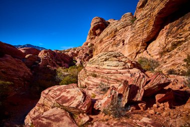 Nevada Red Rock Kanyonu 'nun ebedi güzelliğini keşfedin. Yüksek kırmızı kumtaşı oluşumlarına ve canlı mavi gökyüzünün altındaki çöldeki yaşamın esnekliğine hayret edin. Seyahat için mükemmel.