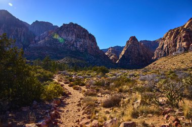 Nevada 'daki Kızıl Kaya Kanyonu' nun engebeli güzelliğini keşfedin. Yüksek kırmızı-kahverengi kaya oluşumları ve canlı bir gökyüzünün altında dolambaçlı bir yol bu çarpıcı çöl manzarasında maceraya davetiye çıkarıyor..