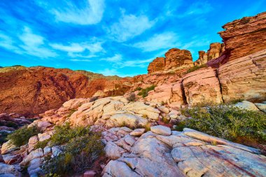 Las Vegas 'taki Red Rock Kanyonu' nda parlak mavi gökyüzü altında görkemli kızıl kaya oluşumları. Kraft Dağı 'nın engebeli güzelliğini ve Amerika' nın güneybatısındaki çöl yaşamının dayanıklılığını keşfedin..