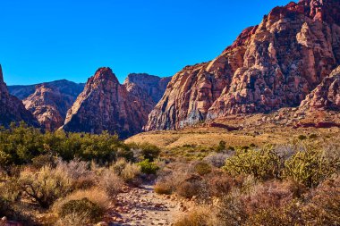 Kızıl Kaya Kanyonu 'nun heybetli kumtaşı kayalıklarıyla coşkulu mavi gökyüzünün altında huşu yaşayın. Engebeli çöl manzarasını keşfedin ve Las Vegas, Nevada yakınlarındaki güzellikleri kucaklayın..