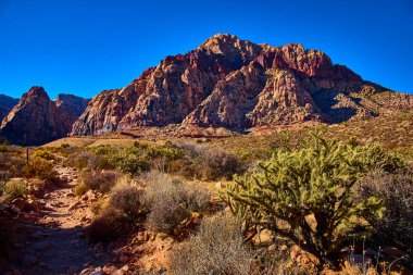 Las Vegas yakınlarındaki Red Rock Kanyonu 'nun nefes kesici güzelliğini keşfedin. Engebeli dağlar ve canlı çöl bitkileri bu ikonik Nevada çölünde macera için zemin hazırladı. Doğa için mükemmel.