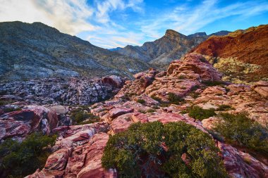 Las Vegas, Nevada yakınlarındaki nefes kesici Red Rock Kanyonunu keşfedin. Engebeli dağlara karşı canlı kırmızı kumtaşına hayran kaldım. Amerika 'nın güneybatısının huzurlu güzelliğini ve macerasını yakaladım..