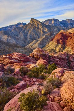 Nevada 'daki Kızıl Kaya Kanyonu' nun saf güzelliğini deneyimleyin. Engebeli kırmızı oluşumların sakin çölle buluştuğu yer. Doğası gereği macera arayan seyahat meraklıları için mükemmel..