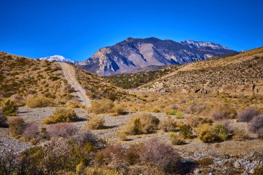 Las Vegas yakınlarındaki Charleston Dağı 'nın engebeli güzelliğine atılın. Uçsuz bucaksız bir çöl manzarasına uzanan dolambaçlı bir toprak yol kar tozlu tepelere çıkar. Macera ve yalnızlığın özünü yakalar..