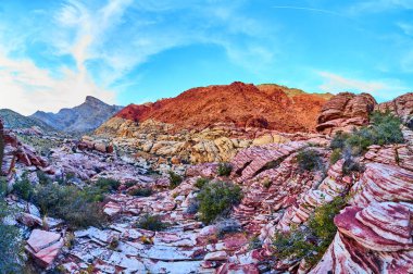 Nevada 'daki Red Rock Canyons kumtaşı oluşumlarının canlı renklerini keşfedin. Altın saat boyunca yakalanan bu nefes kesici manzara, doğanın sanatını ön plana çıkarıyor ve açık hava macerasına davet ediyor..