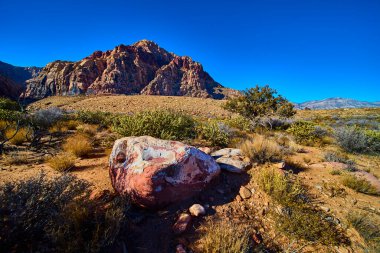 Nevada 'daki görkemli Kızıl Kaya Kanyonu, çöl jeolojisinin engebeli güzelliğini çarpan kızıl dağlar, yıpranmış kayalar ve berrak mavi gökyüzü altında esnek bitki örtüsüyle yakalar. Macera için mükemmel.