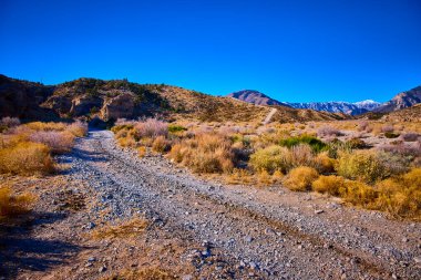 Nevada 'da dayanıklı bitkiler ve uzak karla kaplı Charleston Dağı ile çevrili engebeli bir çöl yolunda maceraya atılmak. Güneybatı vahşi doğasının uçsuz bucaksız yalnızlığını ve güzelliğini hisset.