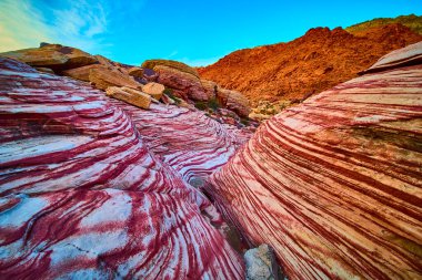 Las Vegas yakınlarındaki Kızıl Kaya Kanyonu 'nun canlı güzelliğini keşfedin. Açık mavi gökyüzünün altındaki Kraft Dağı 'nın çarpıcı kırmızı ve beyaz katmanlarına hayret ederek Amerika' nın çöl manzaralarının özünü yakalıyor..