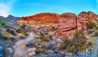 Nevada 'daki Red Rock Canyons kumtaşı oluşumlarının canlı renklerine bakın. Bu nefes kesici çöl manzarası doğada bir macera sunuyor saf güzellik ve sükunet..