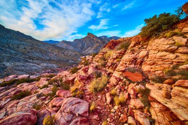 Las Vegas yakınlarındaki Red Rock Kanyonu 'nun nefes kesici güzelliğini tecrübe edin. Hareketli kumtaşı oluşumlarına ve dingin mavi gökyüzünün altındaki dayanıklı çöl bitkilerine hayret ediyorum. Macera bekliyor..