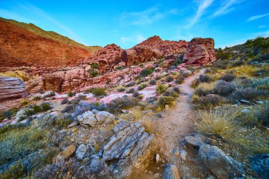 Nevada 'daki nefes kesici Red Rock Kanyonu' nu keşfedin. Parlak kumtaşı oluşumlarına ve ıssız çöl manzarasında dolambaçlı patikalara hayret. Açık hava macera arayanlar için mükemmel..