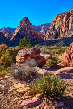 Las Vegas yakınlarındaki Red Rock Kanyonu 'nun engebeli güzelliğini keşfedin. Açık mavi gökyüzü altında pürüzlü oluşumlar yakalamak, bu çöl sahnesinde doğal bir esneklik ve sonsuz cazibe sergiliyor..