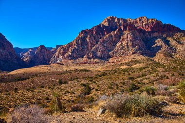 Nevada 'daki çarpıcı Red Rock Kanyonu' nu keşfedin. Yükselen kaya oluşumları, canlı renkler ve çöl bitkileri macera ve doğa meraklıları için ideal sakin bir yaban hayatı yaratır..