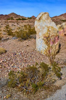 Engebeli Kaçak Kanyon, Nevada: Yıpranmış kaya oluşumları ve canlı mavi gökyüzü altında seyrek bitki örtüsüyle çarpıcı bir çöl manzarası. Doğayı, yalnızlığı ve bu çorak cennette ebedi güzelliği kucaklayın.