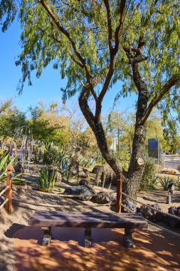 Las Vegas 'ta bir botanik bahçesinde güneşli bir bankta rahatlayın. Bereketli yeşillikler ve eşsiz lezzetlerle çevrili açık, mavi gökyüzü gününün huzurunun tadını çıkar..