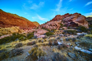 Açık mavi gökyüzünün altındaki kırmızı kumtaşı oluşumlarıyla hayranlık uyandıran Kızıl Kaya Kanyonu 'nu deneyin. Las Vegas yakınlarındaki bu ikonik çölün engebeli güzelliğini ve sükunetini keşfedin..