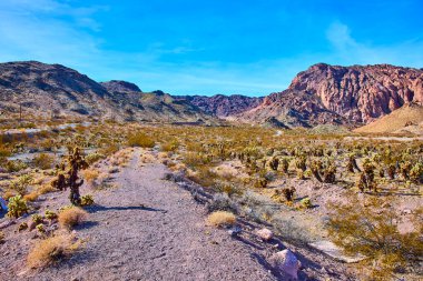 Nevada 'daki Nelsons çölünün engebeli güzelliğini keşfedin. Rocky dağları, kaktüsler ve dolambaçlı yollar bu tarihi hayalet kasabanın ıssızlığı arasında maceraya davetiye çıkarır. Yolculuk için mükemmel.