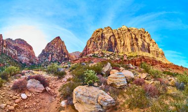 Las Vegas yakınlarındaki Red Rock Canyon Parkı 'nın canlı jeolojisini araştırın. Bu panoramik manzara çarpıcı kaya oluşumlarını ve çarpıcı mavi gökyüzünün altındaki dayanıklı çöl bitkilerini yakalar..