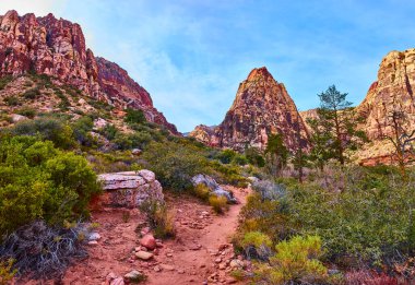 Las Vegas 'taki Red Rock Kanyonu' nun büyüleyici güzelliğini bu büyüleyici manzarayla keşfedin. Bu ikonik Amerikan manzarasını tanımlayan engebeli yolları ve canlı çöl renklerini keşfedin..