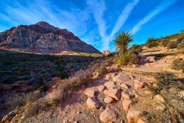 Las Vegas yakınlarındaki Red Rock Canyons Pine Creek Kanyonu 'nun engebeli güzelliğini keşfedin. Uçsuz bucaksız mavi gökyüzü ve yüksek dağ sıralarının altında, yukka bitkileriyle kaplı kayalık patikaları yürüyün. Macera bekliyor..