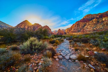 Şafak vakti Kızıl Kaya Kanyonu 'nun dingin güzelliğini keşfedin. Yükselen güneşin altında parlayan kırmızı ve bej kayalıklar sizi Las Vegas yakınlarındaki Pine Creek Kanyonu boyunca bir çöl yoluna yönlendiriyor..