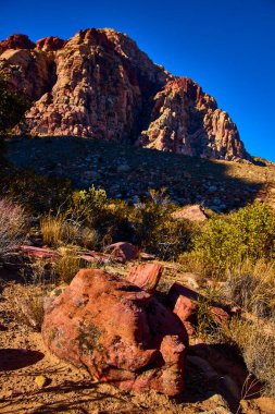 Nevada 'daki hayranlık uyandıran Kızıl Kaya Kanyonu' nu canlı renkleri ve derin mavi gökyüzünün altındaki yüksek uçurumlarıyla deneyin. Bu çöl manzarasının engebeli güzelliğini ve huzur dolu yalnızlığını keşfedin..