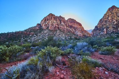 Nevada 'daki Red Rock Kanyonu' nun çarpıcı güzelliğini görün. Açık mavi gökyüzünün altındaki canlı kırmızı oluşumlara ve gelişen çöl bitkilerine hayret ediyorum. Macera ve doğa aşıkları için mükemmel..