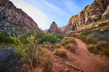 Nevada 'daki Kızıl Kaya Kanyonu' nun engebeli güzelliğini keşfedin. Kum taşı tepeleri ve canlı çöl bitkileri bu dingin ve büyüleyici manzarada macera için çarpıcı bir zemin oluşturur..
