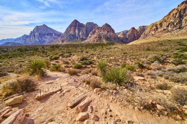 Las Vegas yakınlarındaki Red Rock Kanyonu 'nun görkemli kızıl kaya oluşumlarını araştırın. Çarpıcı uçurumlar ve çöl patikaları Amerika 'nın güneybatısında macera ve sükuneti davet ediyor..