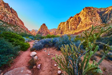 Las Vegas yakınlarındaki Red Rock Kanyonu 'nun canlı kumtaşı uçurumlarını keşfedin. Dolambaçlı yol ve dayanıklı çöl bitkileri maceraya davet eder ve sakin doğayı yakalar..