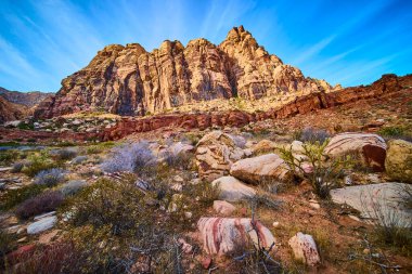 Las Vegas, Nevada yakınlarındaki çarpıcı Red Rock Kanyonu 'nu keşfedin. Yükselen kayalıklar ve canlı çöl bitkileri macera ve keşif meraklıları için mükemmel nefes kesici bir manzara yaratır..