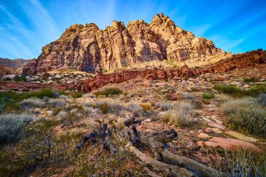 Görkemli kaya oluşumları Las Vegas yakınlarındaki Red Rock Kanyonu 'nda altın ışıkla yıkandı. Engebeli çöl güzelliğinin sakin bir sahnesi, seyahat ve doğa temaları için mükemmel. Huzurlu yabanı keşfedin.