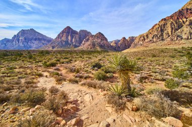 Nevada 'daki Kızıl Kaya Kanyonu' nun engebeli güzelliğini keşfedin. Görkemli kızıl kaya oluşumları ve yalnız bir yukka bitkisi açık mavi gökyüzü altında nefes kesici bir manzara yaratıyor. Macera arayanlar için mükemmel..