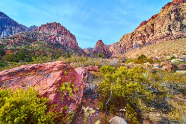 Las Vegas, Nevada 'daki Red Rock Kanyonu' nun canlı güzelliğini keşfedin. Yükselen kumtaşı kayalıkları ve çöl bitkileri bu nefes kesici Amerikan Güneybatı sahnesinde nefes kesici bir macera yaratıyor..