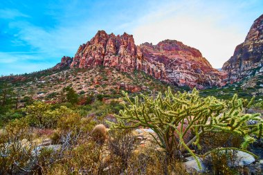Las Vegas 'taki Red Rock Kanyonu' nun ihtişamını görün. Yükselen kızıl kayalıklar ve canlı kaktüsler bu nefes kesici çöl manzarasının doğal güzelliğini ve dayanıklılığını vurgular..