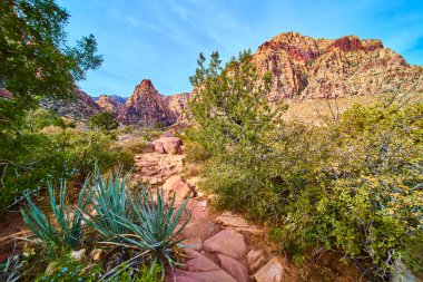 Las Vegas 'taki Red Rock Kanyonu' nun engebeli patikalarını keşfedin. Canlı çöl manzaraları ve görkemli kumtaşı kayalıkları unutulmaz bir açık hava macerası yaratıyor. Seyahat ve doğa için ideal.