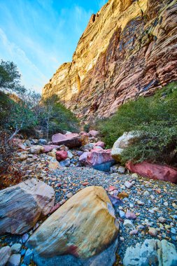 Nevadas Red Rock Kanyonu 'ndaki Pine Creek Kanyonu' nun hayranlık uyandıran güzelliğini görün. Yükselen kaya oluşumları altın saat ışığında parıldıyor, doğaya ebedi bir kaçış sunuyor..