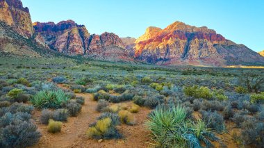 Las Vegas, Nevada yakınlarındaki Red Rock Kanyonu 'nun havadan görüntüsü kumtaşı kayalıkları ve çöl bitkilerinde altın saat parıltısını yakalıyor. Güneybatı Amerika 'nın dingin güzelliğini ve engebeli macerasını tecrübe edin..