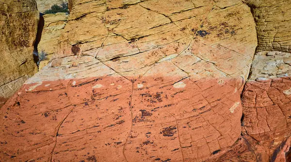 Nevada 'daki Red Rock Kanyonu' nda canlı kaya katmanlarının yakın çekimi. Bu jeolojik mucize sıcak renkler ve karmaşık dokular sergiliyor. Doğa, macera ve keşif konuları için mükemmel..