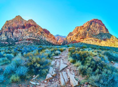 Las Vegas yakınlarındaki Red Rock Kanyonu 'nun üzerindeki görkemli kumtaşı uçurumları kulesi. Güneş ışığı, Nevada 'nın bu doğal harikasında canlı renklerini, maceraları ve keşifleri teşvik eder..