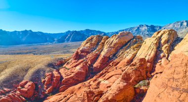 Nevada 'daki Red Rock Kanyonu' nun canlı kırmızı kumtaşı oluşumlarını araştırın. Bu panoramik manzara, berrak mavi gökyüzünün altında çöl manzarasının dingin güzelliğini ve enginliğini yakalar..